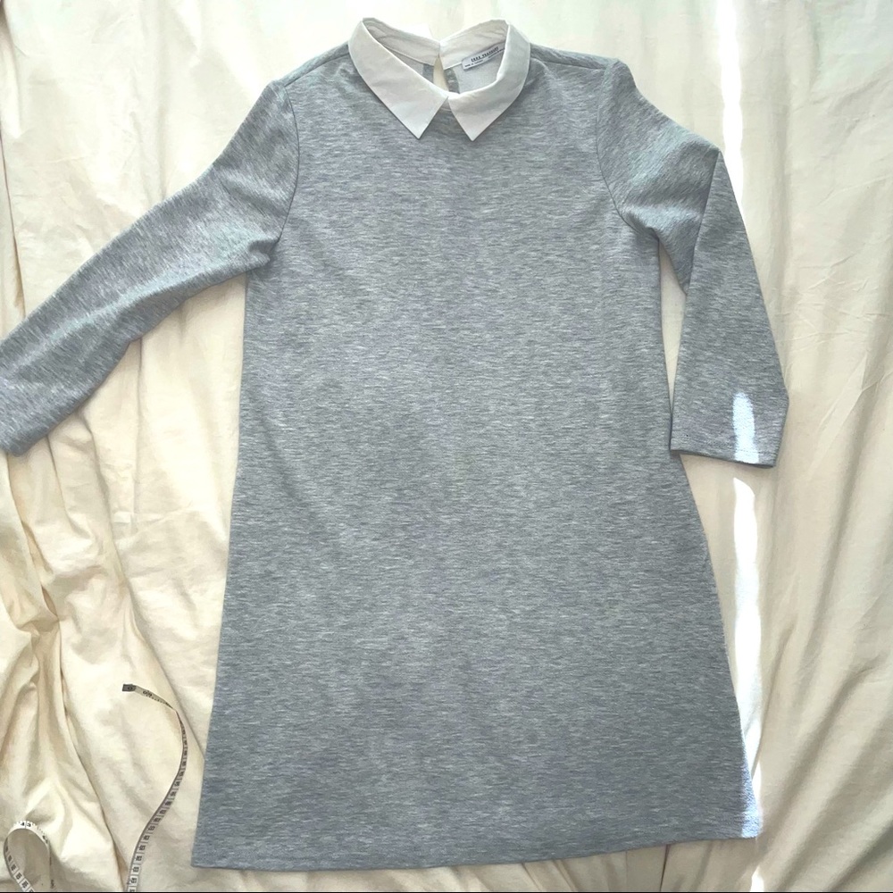 Zara Peter Pan collar dress